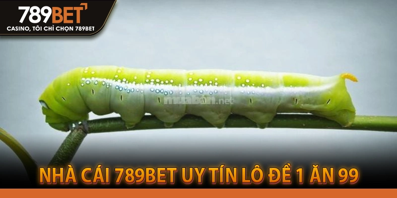 Nhà cái 789BET uy tín lô đề 1 ăn 99